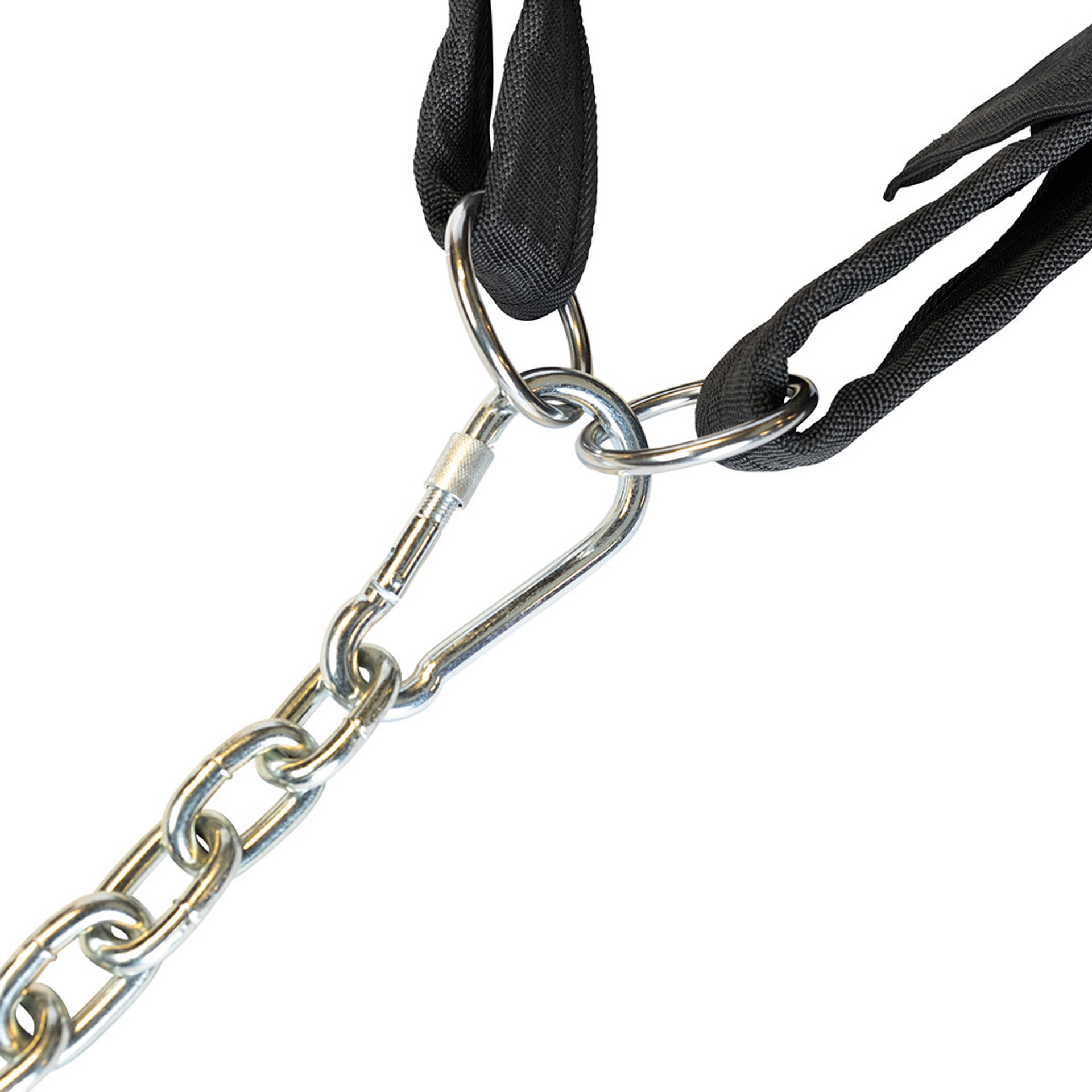 SPRBSB_IMGL4971__46639